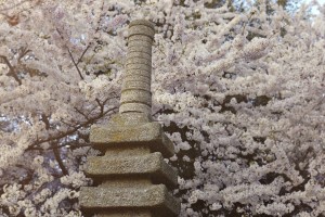 Cherry Blossom Statue