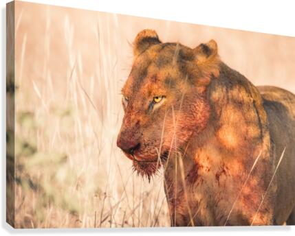 Hunter Canvas Print