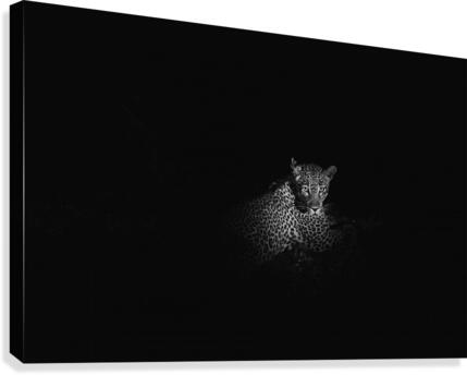 Leopard 2 Canvas Print