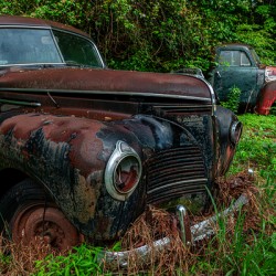 Rust and Decay