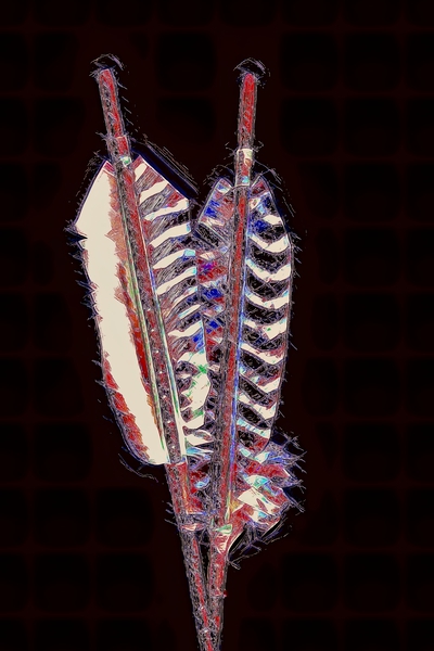Arrow Feathers by Image Shifting