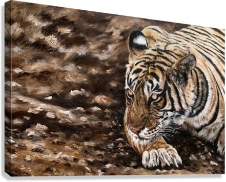 softy crawl Canvas Print