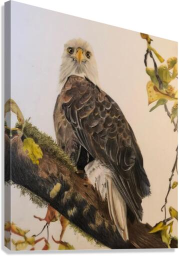 startle with vigor Canvas Print