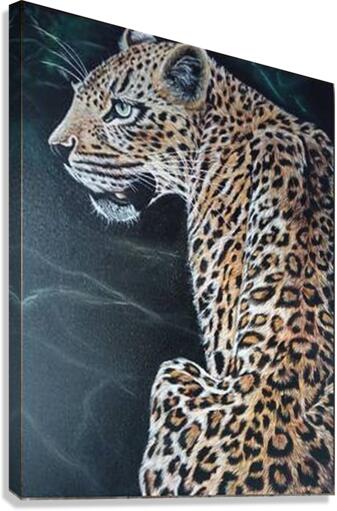 lure due Canvas Print