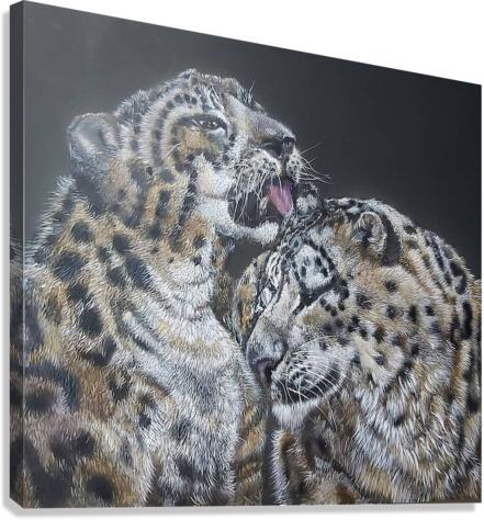 head strokes Canvas Print