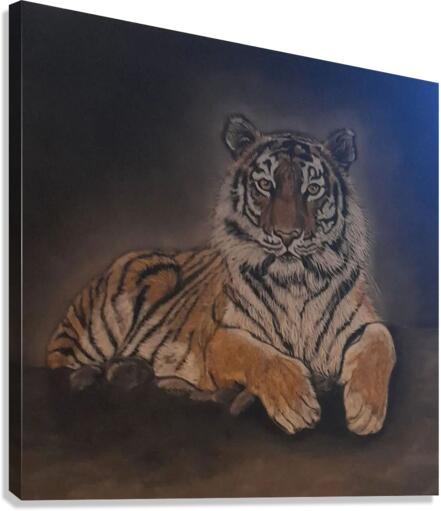 dark sit up Canvas Print