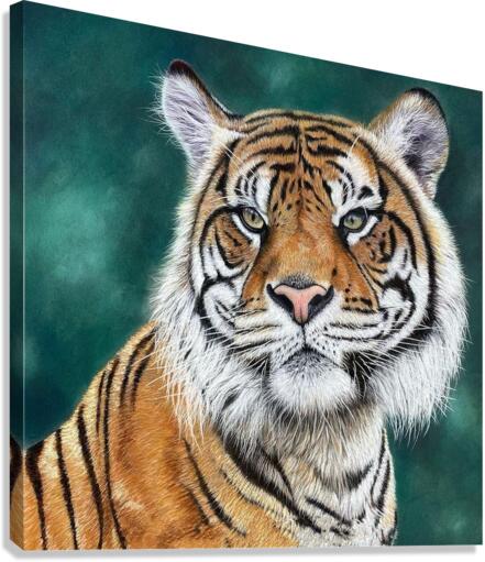 mind with sight Canvas Print