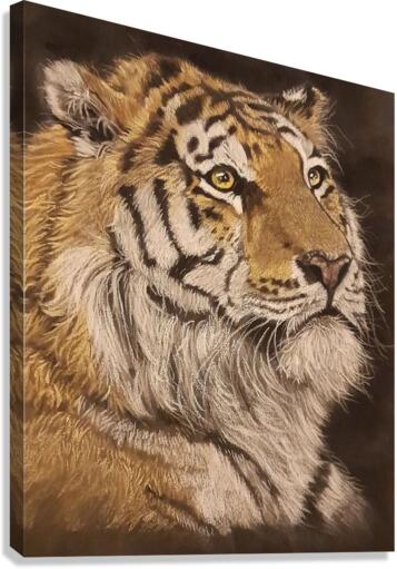 up way sight Canvas Print