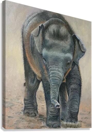 littel steps off Canvas Print
