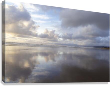 editIMG 2408 Canvas Print