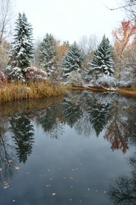 Fresh Snow and Pond Reflections