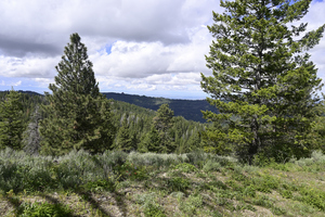 Boise National Forest 1