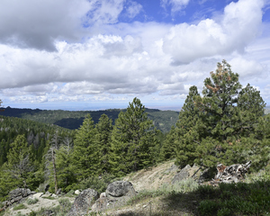 Boise National Forest 2