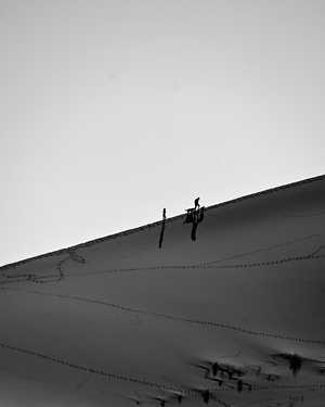 Silhouette Sand Dunes Hiking Adventure  - Second Place Winner 2023