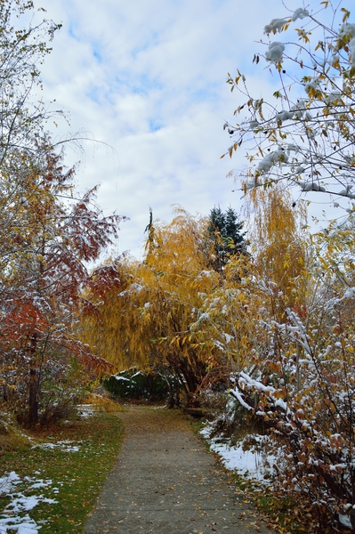 Dusting of new snow on fall colors - early winter by Michelle K Wood