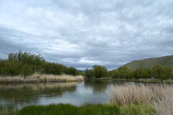 Silver Creek Preserve  Print