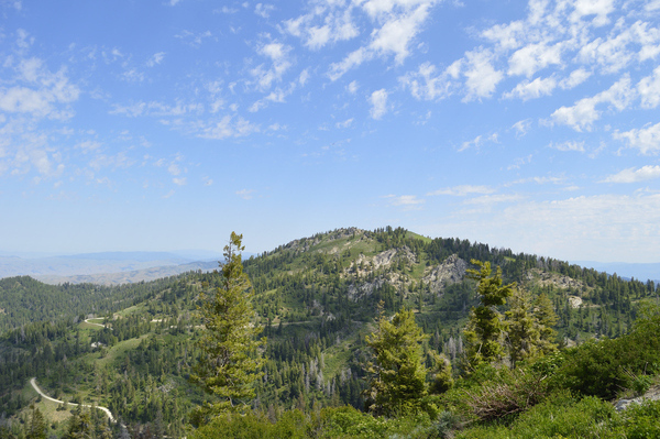 Boise National Forest Mores Mountain by Michelle K Wood