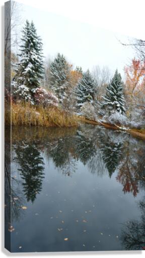 Fresh Snow and Pond Reflections Canvas Print