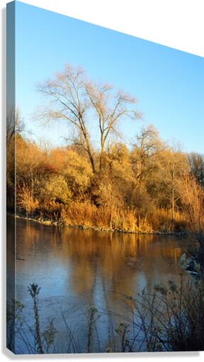 Warm and Cool - fall colors reflected on frozen pond Canvas Print