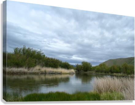 Silver Creek Preserve  Canvas Print