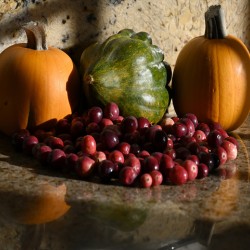 Thanksgiving Harvest - Third-Place Winner 2024