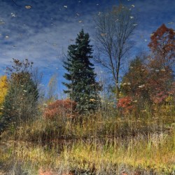 Magical Fall Colors