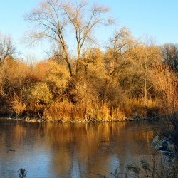 Warm and Cool - fall colors reflected on frozen pond