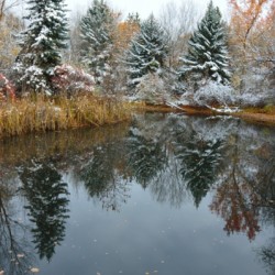 Fresh Snow and Pond Reflections