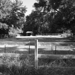 Shady Pasture