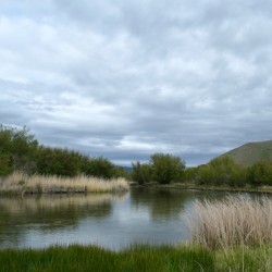 Silver Creek Preserve
