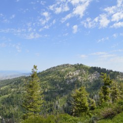 Boise National Forest Mores Mountain