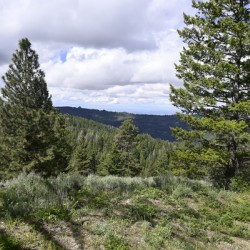 Boise National Forest 1