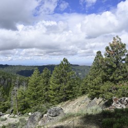 Boise National Forest 2