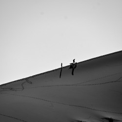 Silhouette Sand Dunes Hiking Adventure  - Second Place Winner 2023