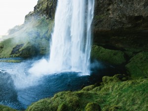 Falls