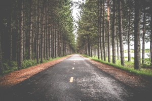 Road perspective