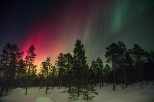 Boreal