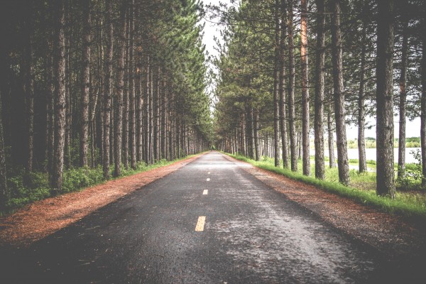 Road perspective Print