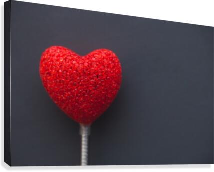 Love  Canvas Print