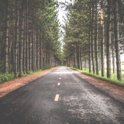 Road perspective