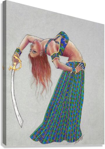 Sword Play Canvas Print