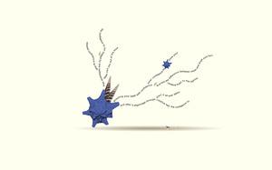 Confidence VISUAL POETRY SEASHELL COLLAGE COLLECTION WITH SEASCAPE PHOTOGRAPHY MARINE IKEBANA POETRY 1