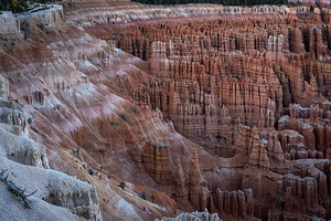 Bryce NP 12 DSCF7282 pc