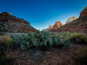 Zion NP 2 DSCF6426 p c