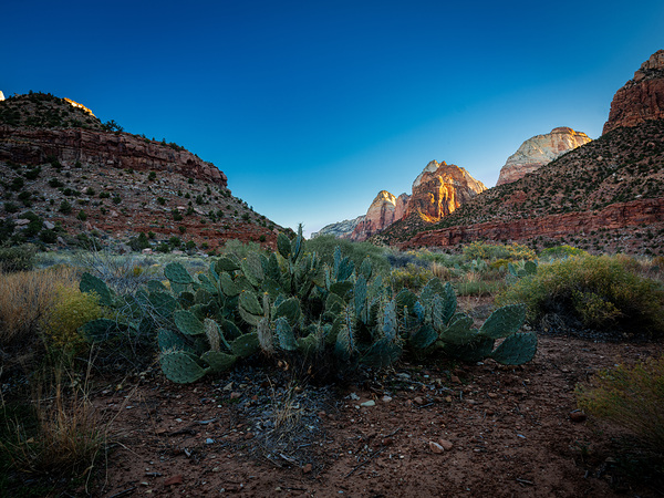 Zion NP 2 DSCF6426 p c by Keith Utter