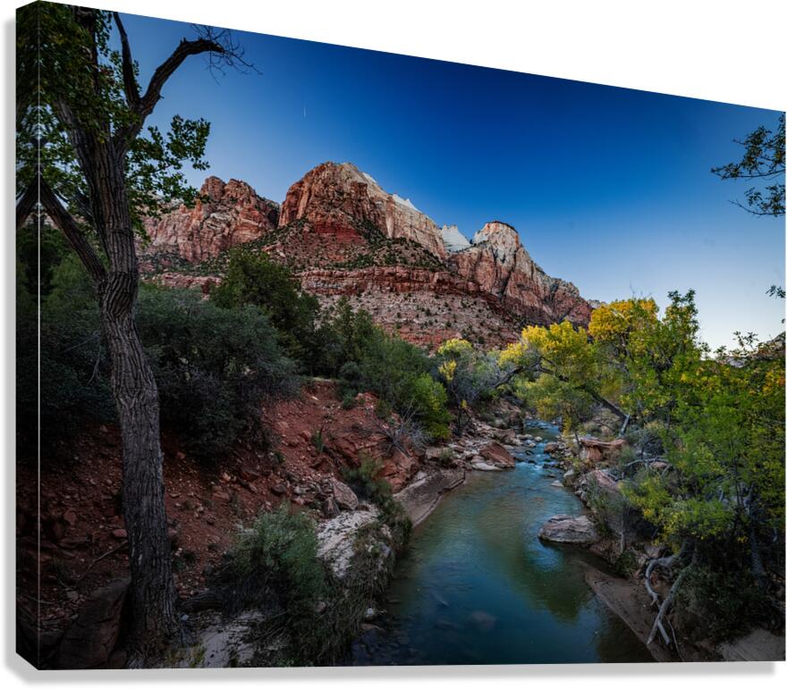 DSCF6745 copy Canvas Print