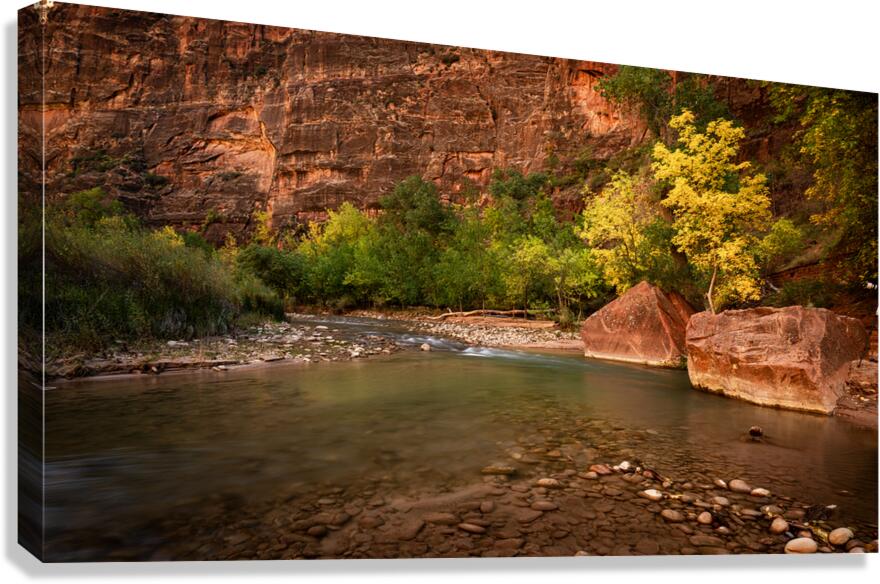 DSCF6461 copy Canvas Print