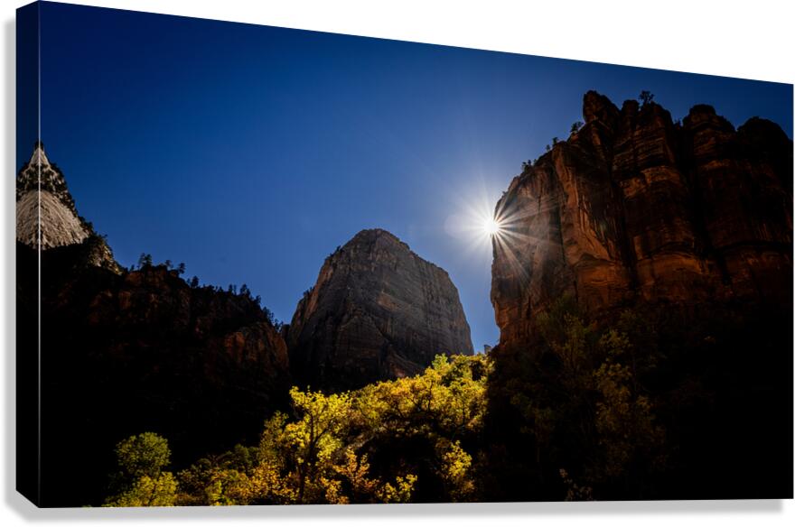 DSCF6510 copy Canvas Print