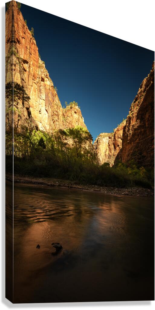 DSCF6475 copy Canvas Print