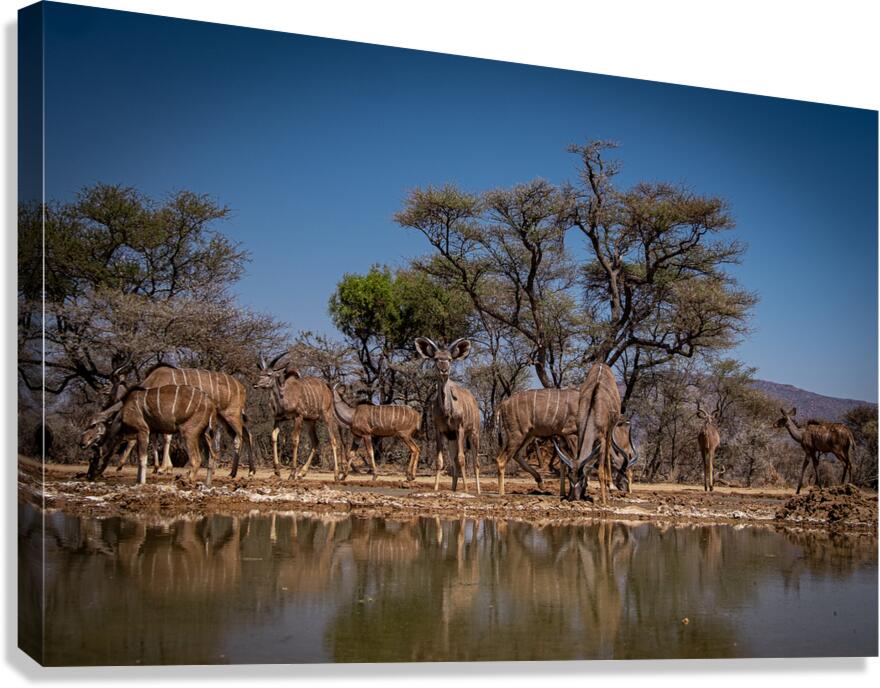 DSF5060 copy Canvas Print